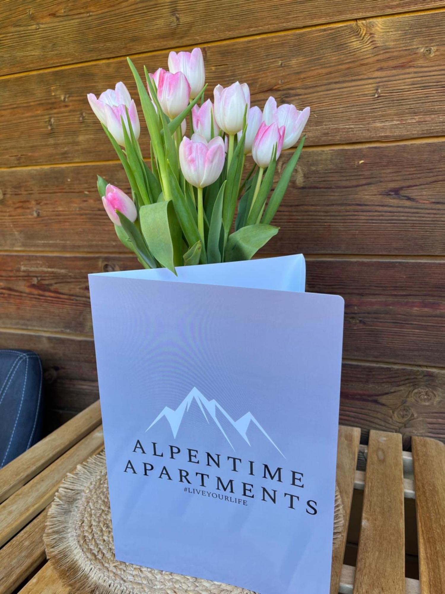 Alpentime Apartments Neustift im Stubaital Kültér fotó